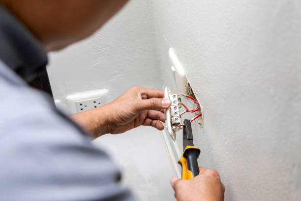 Best Electrical System Inspection  in Clarkton, MO